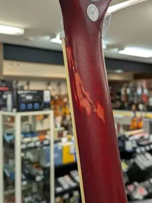 Epiphone - EL59ADCNH 2